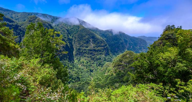 Exploring Island of Madeira - Worldee 5