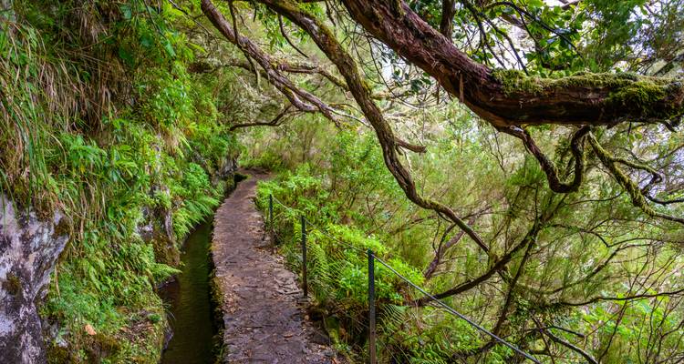 Exploring Island of Madeira - Worldee 2