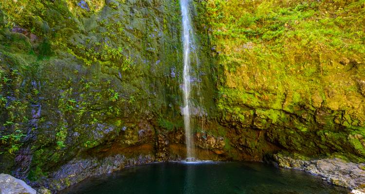 Exploring Island of Madeira - Worldee 1