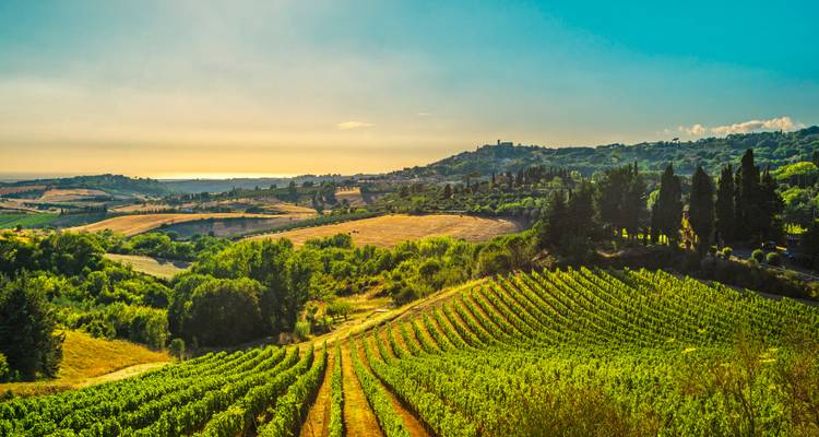 Vineyards with lush greenery and a picturesque village