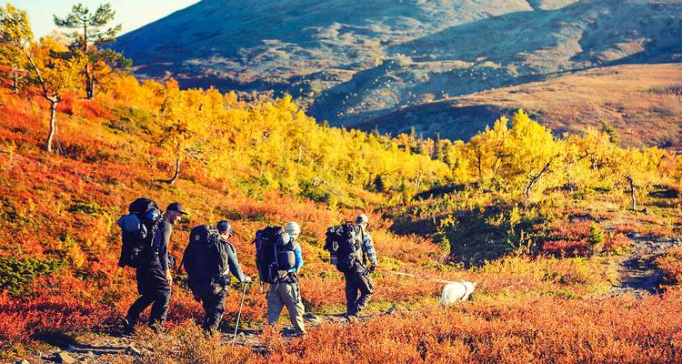 Vacaciones de verano de 3 días en la salvaje Rovaniemi, Finlandia - Agate Travel 1