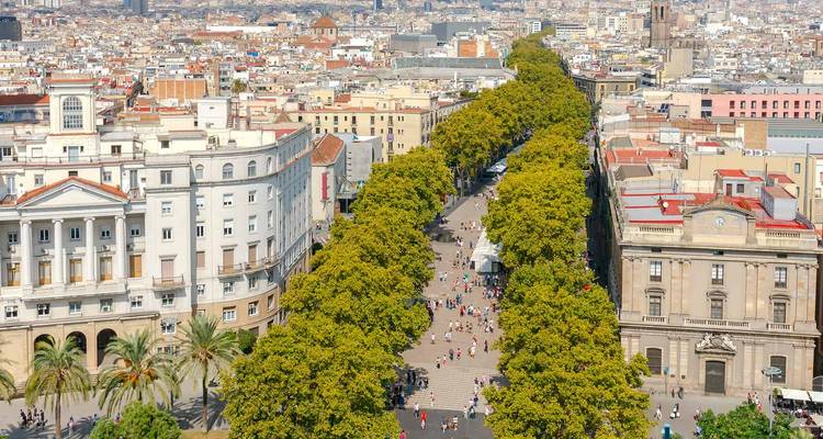 Vue aérienne de La Rambla bordée d'arbres avec des bâtiments historiques de chaque côté.