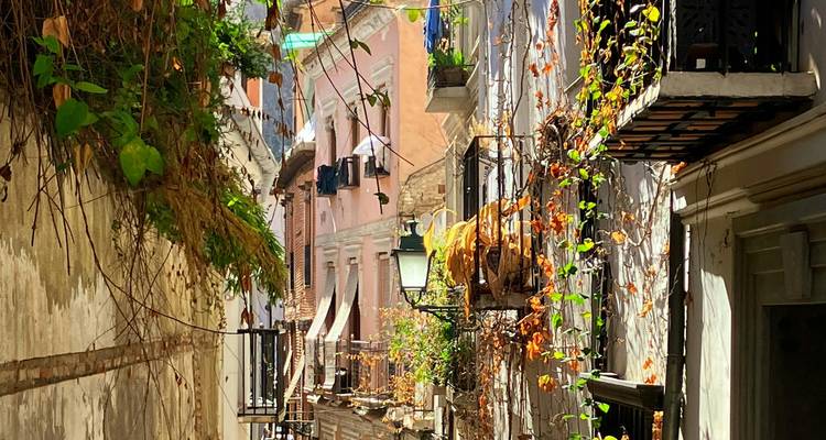 Rue résidentielle colorée avec des plantes et des fleurs.