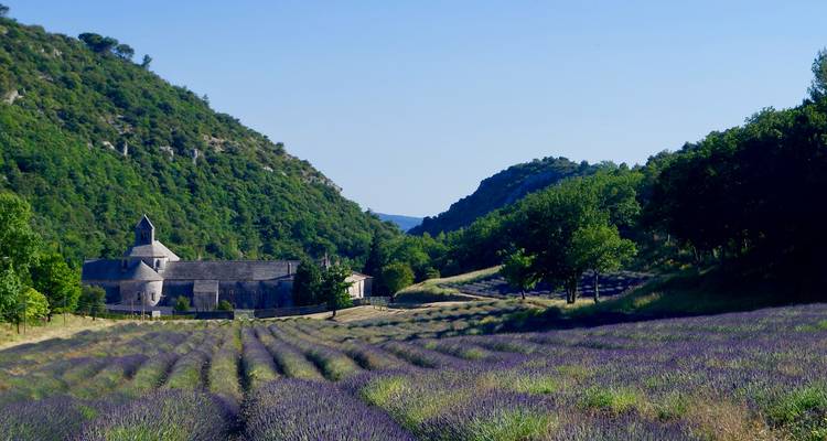 Un verre de romantisme en Provence - Worldee 3