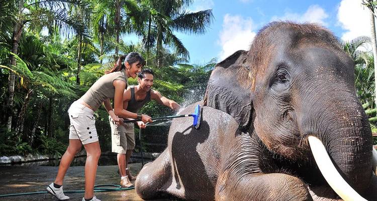 Bali and Nusa Penida: Adventure & Eelaxation in Paradise - Worldee 5