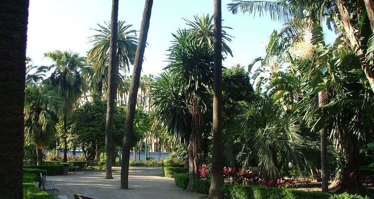Sunny Vacation in Malaga - Worldee 5
