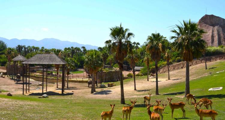 Family Fun on the Costa Blanca: Benidorm & Alicante - Worldee 9