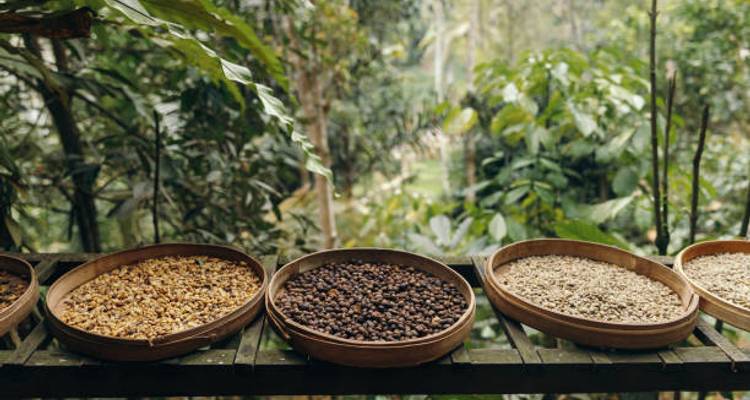Bali: A Harmony of Nature, Spirit & Tradition - Worldee 3