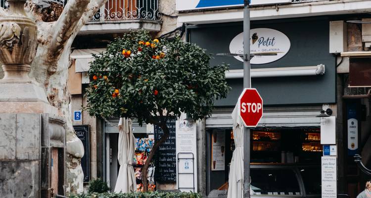 Les plus beaux endroits de Majorque - Worldee 9