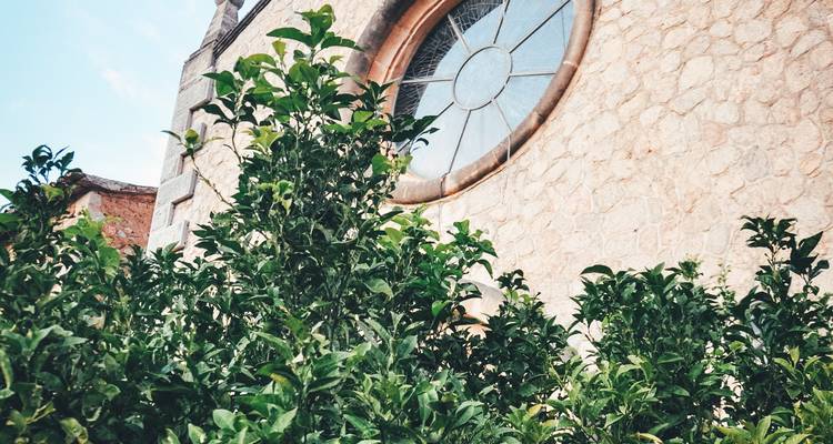 Les plus beaux endroits de Majorque - Worldee 5