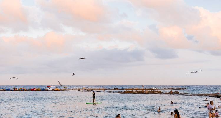 People paddleboarding and swimming in the ocean.