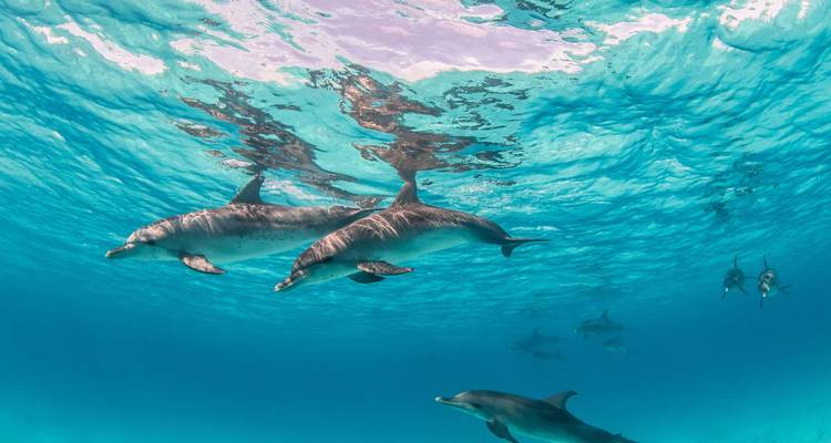 Les plages de Rovinj - Worldee 4