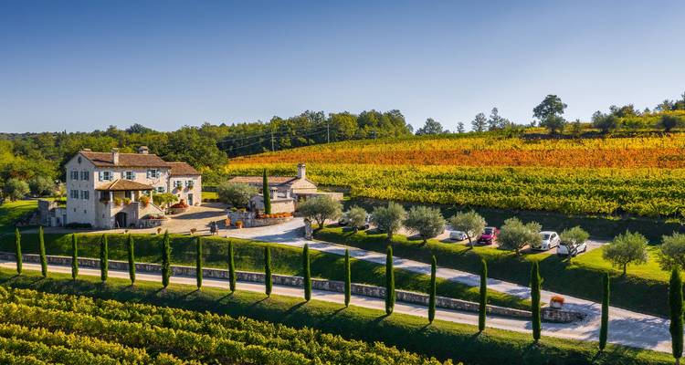 Istrie - La route des vins - Worldee 5