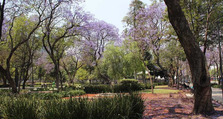 Mexico City: Discover History, Culture and Hidden Treasures - Worldee 7