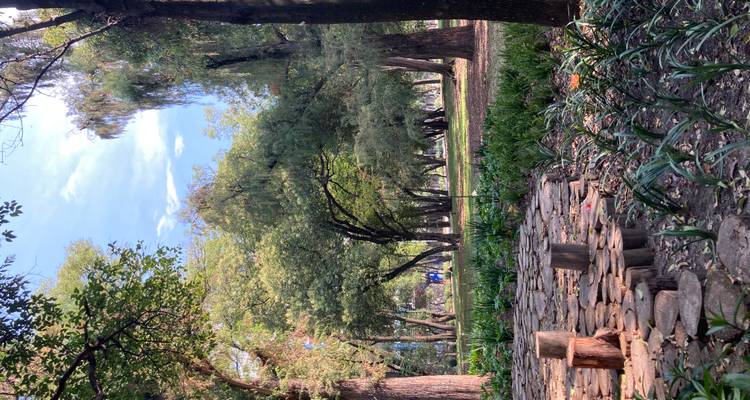 Mexico City: Discover History, Culture and Hidden Treasures - Worldee 5