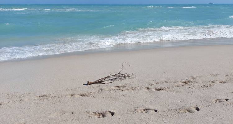 The Ultimate Florida Road Trip - Worldee 6
