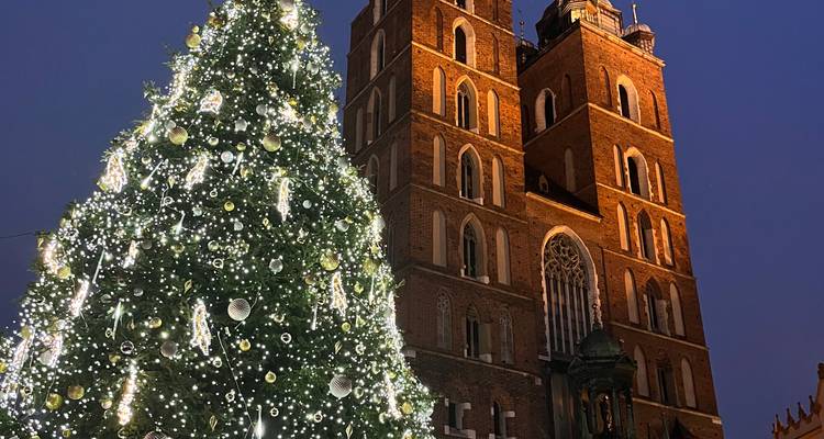 Festive Christmas tree beside St. Mary's Basilica at night.