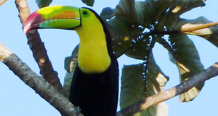 Belize & Guatemala round trip - 16 days through the hidden heart of Central America - Oasis Travel 1
