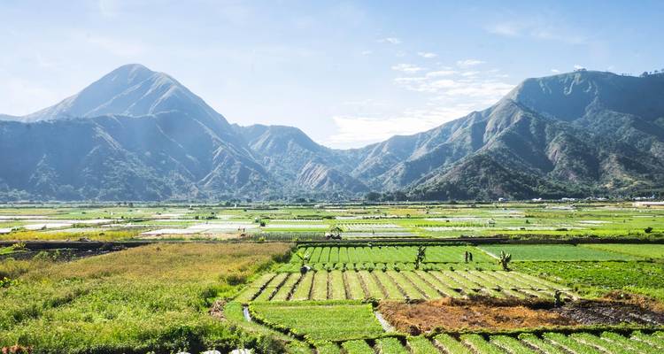 Lush agricultural fields backed by mountainous landscape.