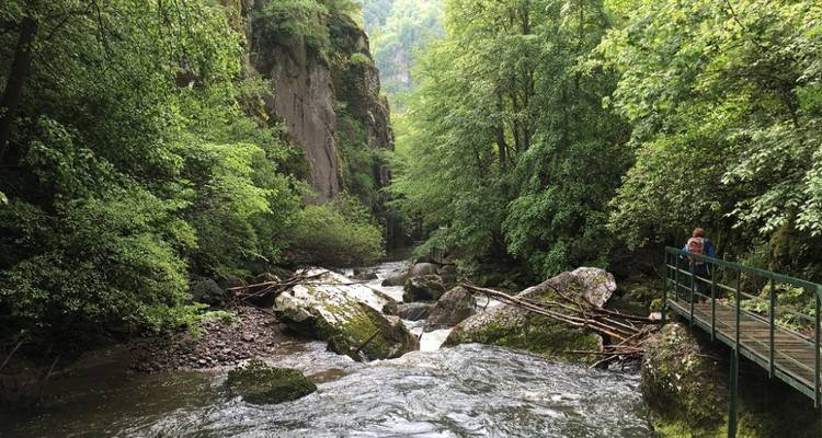 Bulgaria Uncovered: A Family-Friendly Self-Drive Off-Road Adventure - Medraft 2