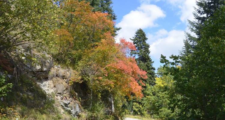 Bulgaria Uncovered: A Family-Friendly Self-Drive Off-Road Adventure - Medraft 3