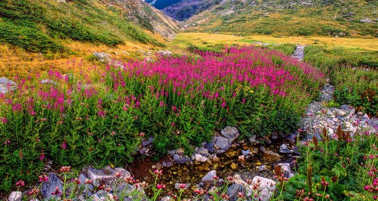 Bulgaria Uncovered: A Family-Friendly Self-Drive Off-Road Adventure - Medraft 9
