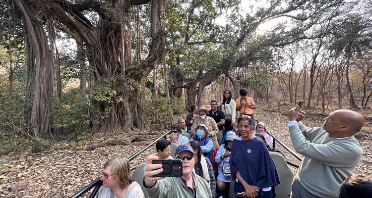 Safari group in a vehicle taking pictures in a forest.