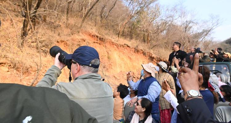 Luxurious train cabin interior with ornate decor.
