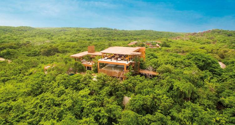 Construction dans un terrain de jungle luxuriante.