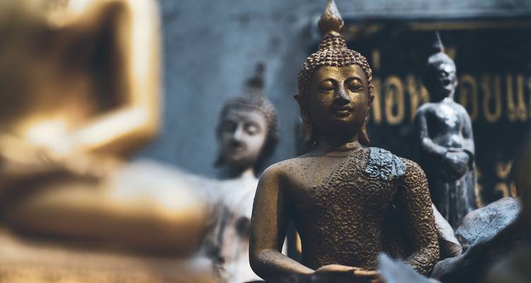 Gros plan d'une statue de Bouddha dans un cadre serein.