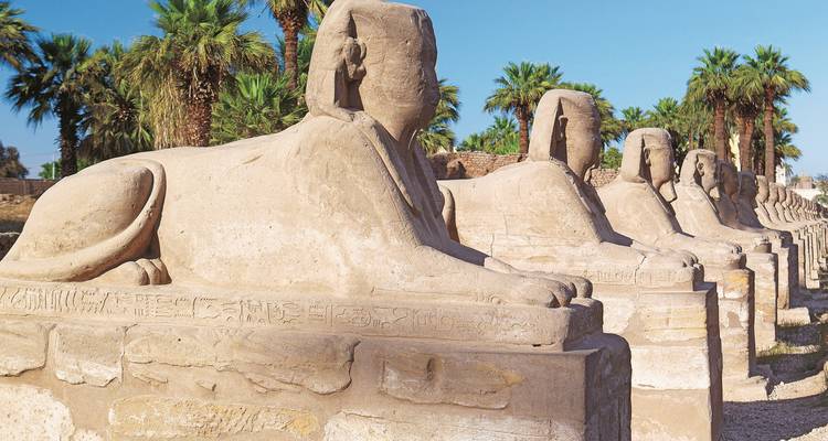 Row of Sphinx statues in an ancient site.