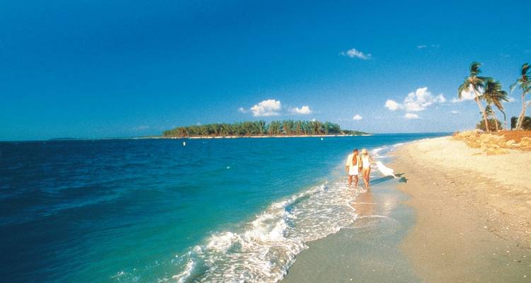 A couple strolls along a tropical sandy beach fringe with palms and turquoise water under a bright blue sky.