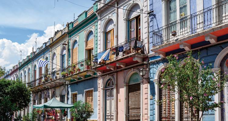 Colorful historical buildings along a street with balconies and trees.