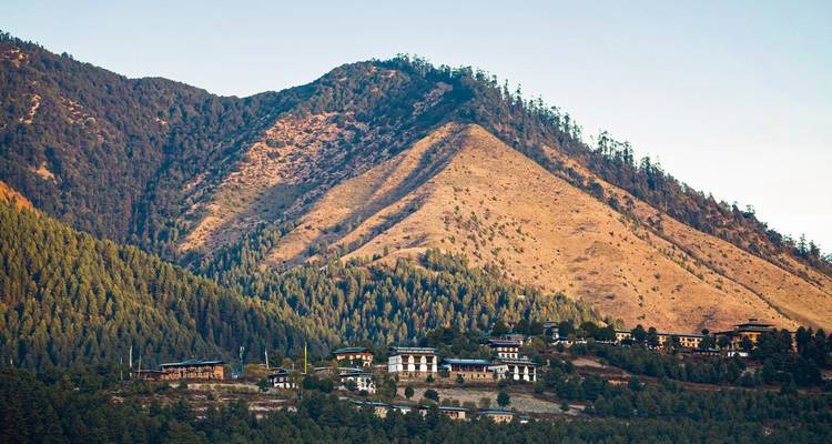 Ferienanlage-Gebäude eingebettet in eine bewaldete Berglandschaft.