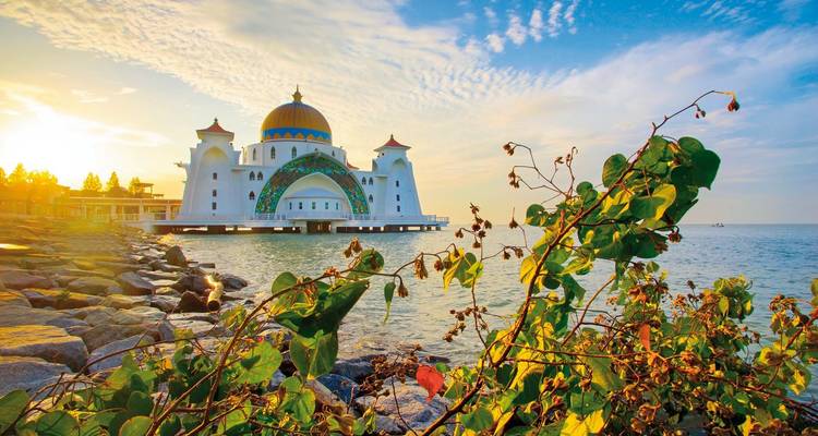 Mosque by the sea during sunset with foliage.
