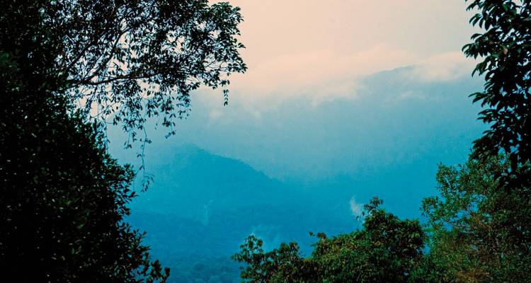 Foggy mountains with lush green foreground.