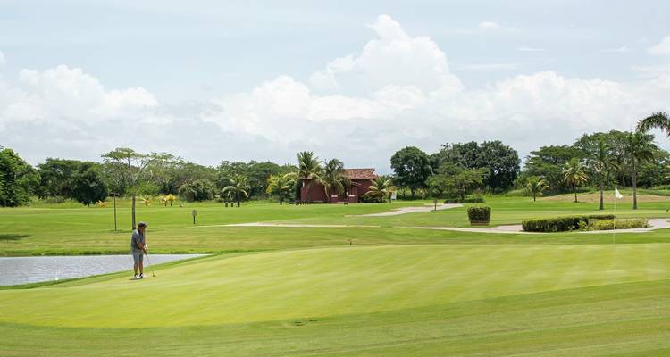 Golf course with a golfer putting, surrounded by trees.
