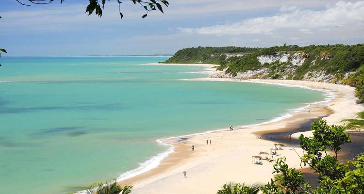 12 Days Brazil Unveiled: From Rio’s Rhythms to the Amazon’s Heart - Responsible Travel South America 2