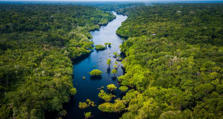 12 Days Brazil Unveiled: From Rio’s Rhythms to the Amazon’s Heart - Responsible Travel South America 10