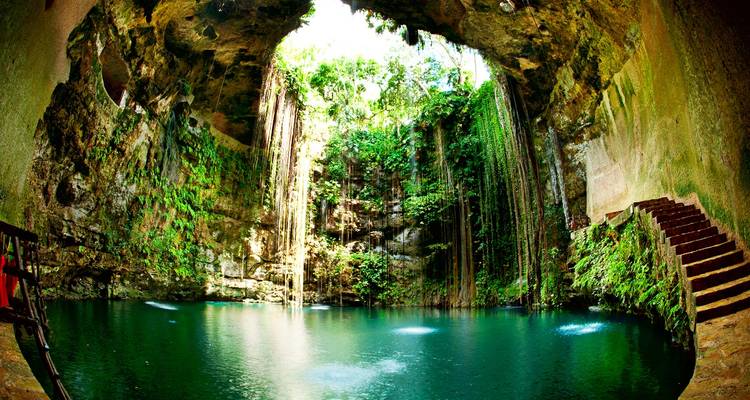 Vista panorámica de un cenote en México con exuberante vegetación.