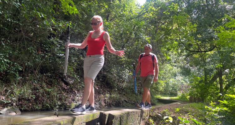 Two hikers walking on a trail surrounded by greenery.