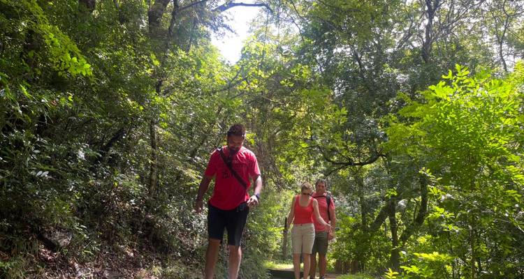 Three people hiking along a forest path in a lush setting.