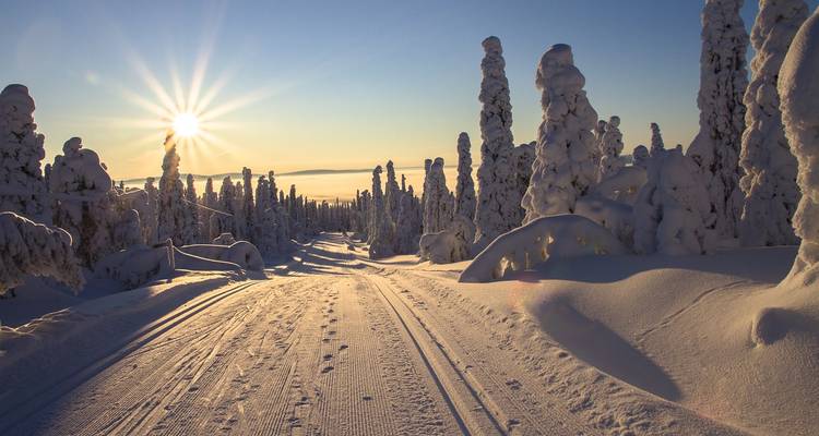 Schneebedeckte Landschaft mit einem gewundenen Pfad unter einer hellen Sonne.