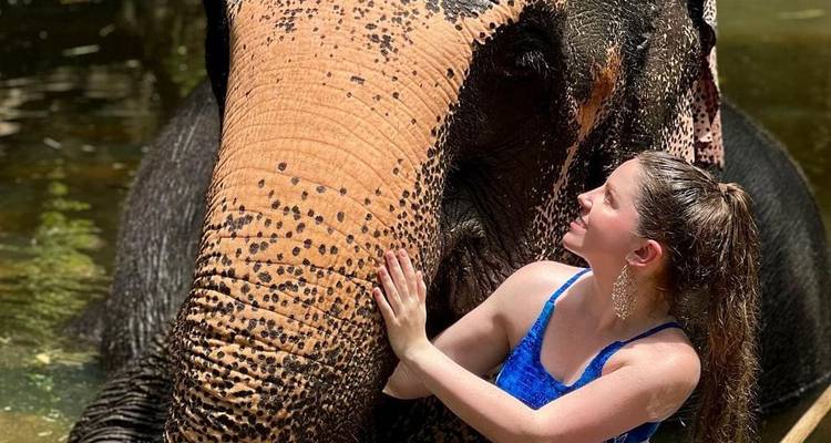 Person interacting with an elephant in a lush environment.