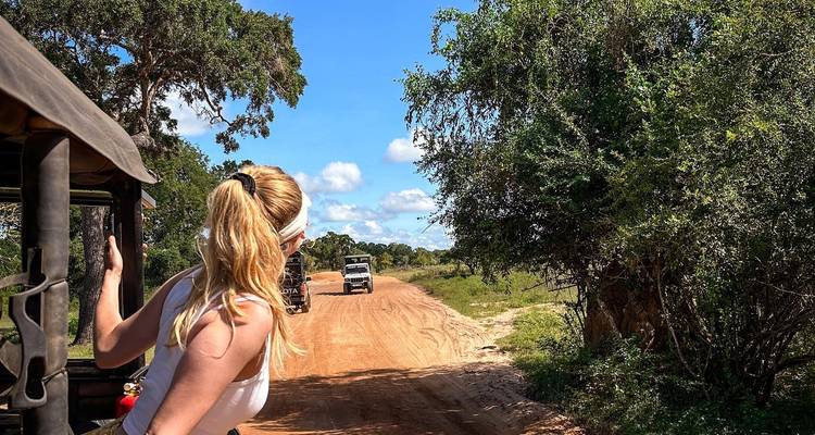 Woman leaning out of a safari vehicle looking at the road in a national park.