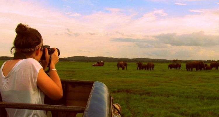 Person, die Elefanten in einer Ebene fotografiert.