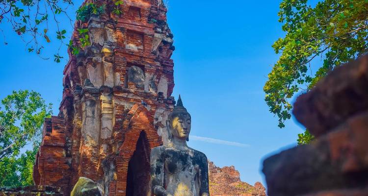 Buddha statue nestled among ancient temple ruins.