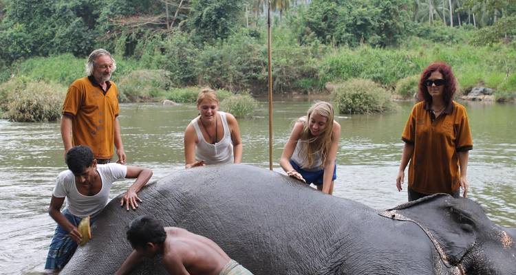 People interacting with a large elephant near a river.