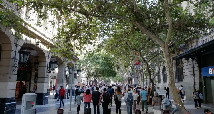 Rue bondée bordée d'arbres et de bâtiments historiques.
