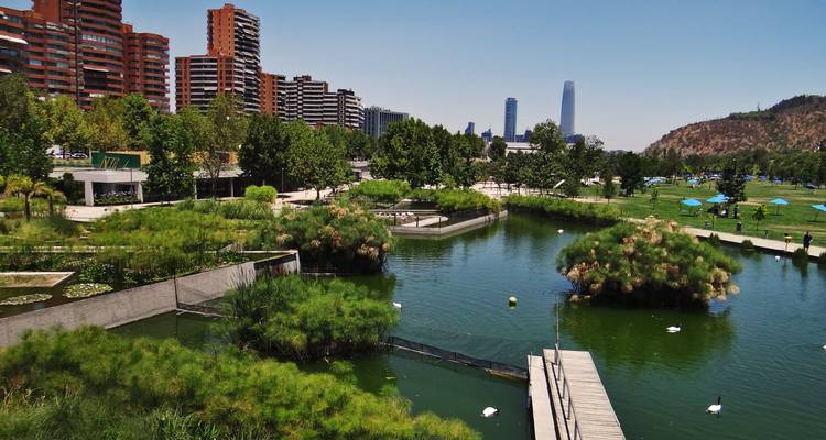 Parc urbain verdoyant avec sentiers de promenade et vue sur l'horizon.